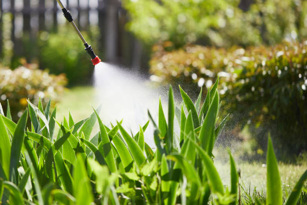 Tamper-Resistant Bait Stations for Rodents in Gridley