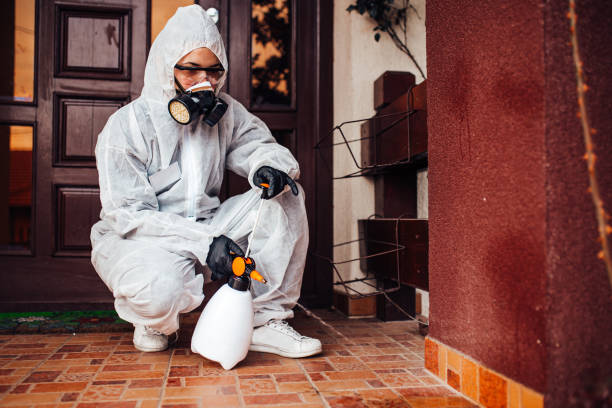 Attic and Crawl Space Rodent Treatment in Gridley